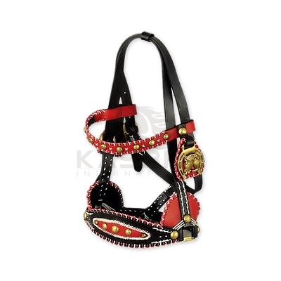 Traditional leather Haflinger Halter with red blue PVC wire Embroidery Brass Ball Horse Head